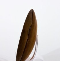 Shallow turned wood bowl -  Side